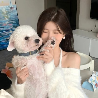 疯狂的契约